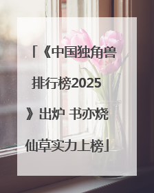 《中国独角兽排行榜2025》出炉 书亦烧仙草实力上榜