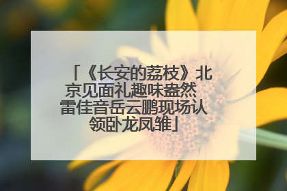 《长安的荔枝》北京见面礼趣味盎然 雷佳音岳云鹏现场认领卧龙凤雏