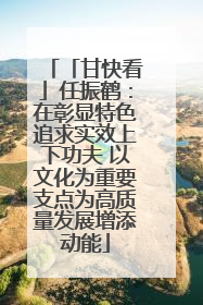 「甘快看」任振鹤：在彰显特色追求实效上下功夫 以文化为重要支点为高质量发展增添动能