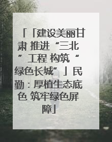 「建设美丽甘肃 推进“三北”工程 构筑“绿色长城”」民勤：厚植生态底色 筑牢绿色屏障