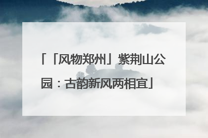 「风物郑州」紫荆山公园：古韵新风两相宜