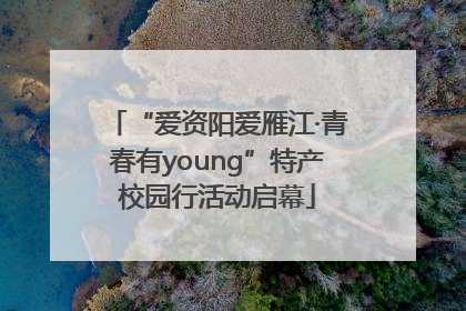 “爱资阳爱雁江·青春有young”特产校园行活动启幕