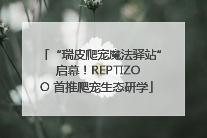 “瑞皮爬宠魔法驿站” 启幕！REPTIZOO 首推爬宠生态研学