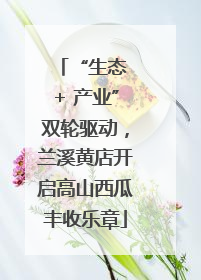 “生态 + 产业”双轮驱动，兰溪黄店开启高山西瓜丰收乐章