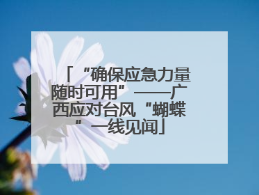 “确保应急力量随时可用”——广西应对台风“蝴蝶”一线见闻