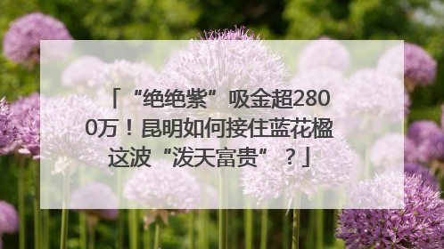 “绝绝紫”吸金超2800万！昆明如何接住蓝花楹这波“泼天富贵”？