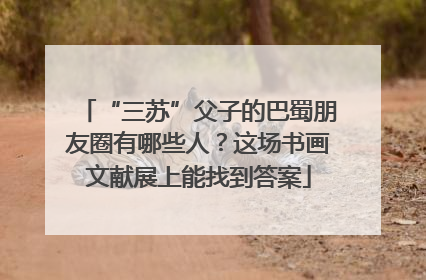 “三苏”父子的巴蜀朋友圈有哪些人？这场书画文献展上能找到答案