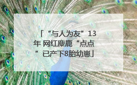 “与人为友”13年 网红麋鹿“点点”已产下8胎幼崽
