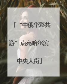 “中俄华彩共游”点亮哈尔滨中央大街