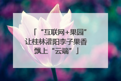 “互联网+果园”让桂林灌阳李子果香飘上“云端”