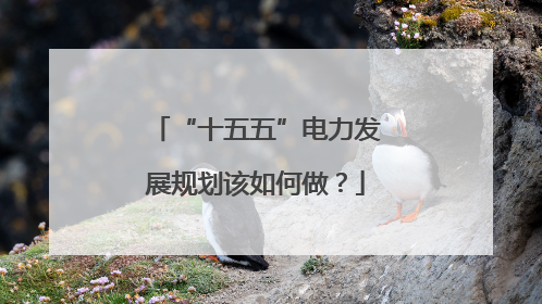 “十五五”电力发展规划该如何做？