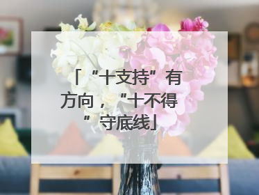 “十支持”有方向，“十不得”守底线