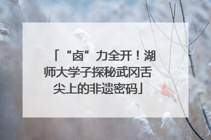 “卤”力全开！湖师大学子探秘武冈舌尖上的非遗密码