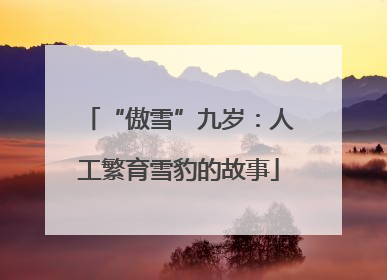 “傲雪”九岁：人工繁育雪豹的故事