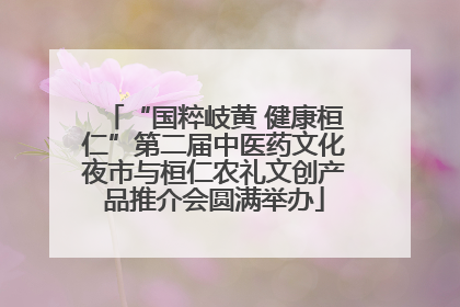 “国粹岐黄 健康桓仁”第二届中医药文化夜市与桓仁农礼文创产品推介会圆满举办