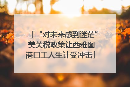 “对未来感到迷茫” 美关税政策让西雅图港口工人生计受冲击