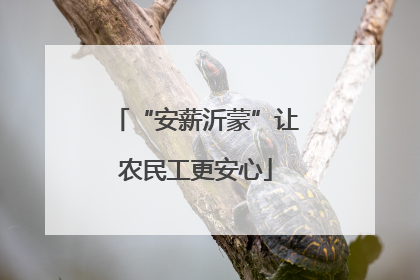 “安薪沂蒙”让农民工更安心
