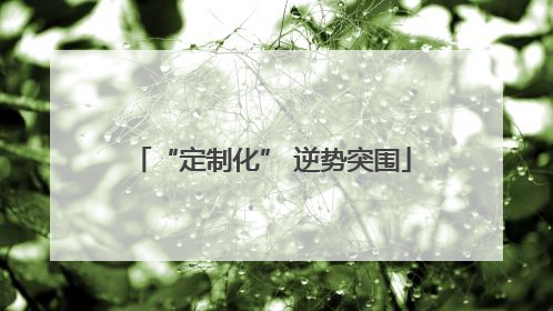 “定制化” 逆势突围