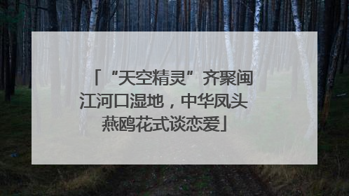“天空精灵”齐聚闽江河口湿地，中华凤头燕鸥花式谈恋爱