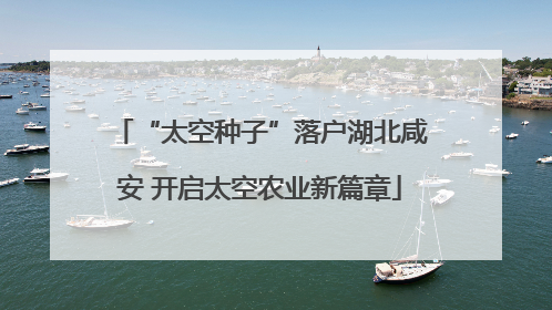 “太空种子”落户湖北咸安 开启太空农业新篇章