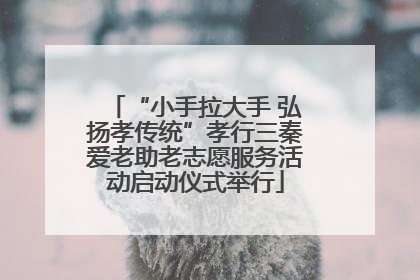 “小手拉大手 弘扬孝传统”孝行三秦爱老助老志愿服务活动启动仪式举行