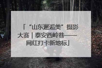 “山东邂逅美”摄影大赛｜泰安西岭巷——网红打卡新地标