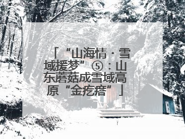 “山海情・雪域援梦”⑤：山东蘑菇成雪域高原“金疙瘩”