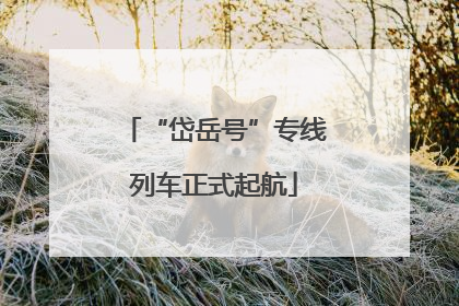 “岱岳号”专线列车正式起航