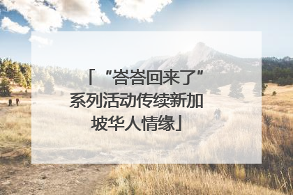 “峇峇回来了”系列活动传续新加坡华人情缘