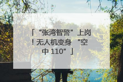 “张湾智警”上岗！无人机变身 “空中 110”
