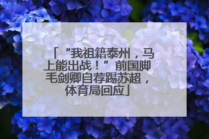“我祖籍泰州，马上能出战！”前国脚毛剑卿自荐踢苏超，体育局回应
