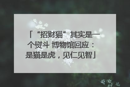 “招财猫”其实是一个熨斗 博物馆回应：是猫是虎，见仁见智