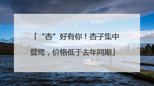 “杏”好有你！杏子集中登鹭，价格低于去年同期