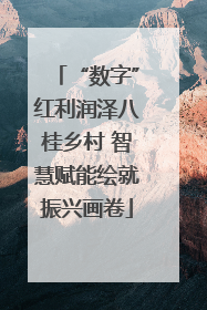 “数字”红利润泽八桂乡村 智慧赋能绘就振兴画卷