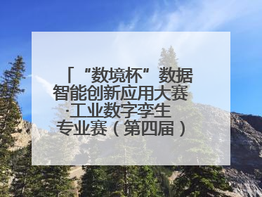 “数境杯”数据智能创新应用大赛·工业数字孪生 专业赛（第四届）全国总决赛及颁奖典礼成功举办