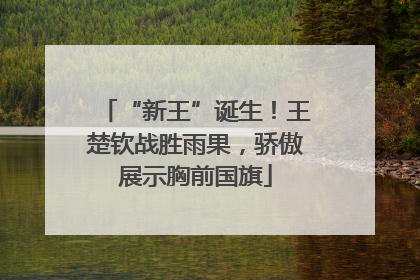 “新王”诞生！王楚钦战胜雨果，骄傲展示胸前国旗