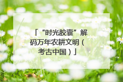 “时光胶囊”解码万年农耕文明（考古中国）