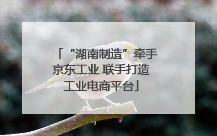 “湖南制造”牵手京东工业 联手打造工业电商平台