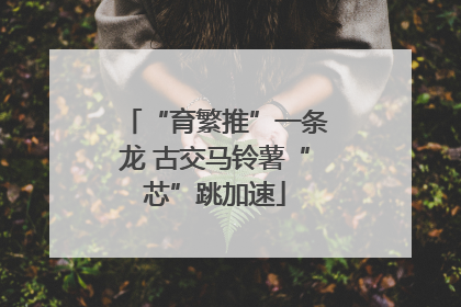 “育繁推”一条龙 古交马铃薯“芯”跳加速
