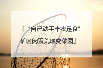 “自己动手丰衣足食”矿区闲置荒地变菜园
