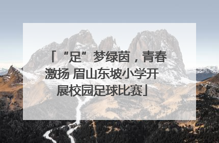 “足”梦绿茵，青春激扬 眉山东坡小学开展校园足球比赛