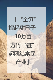 “金笋”撑起甜日子 10万亩方竹“链”起团结富民产业