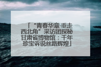 “青春华章·重走西北角”采访团探秘甘肃省博物馆：千年珍宝诉说丝路辉煌