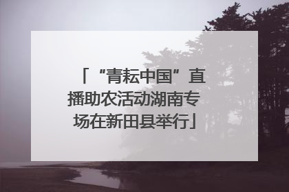 “青耘中国”直播助农活动湖南专场在新田县举行