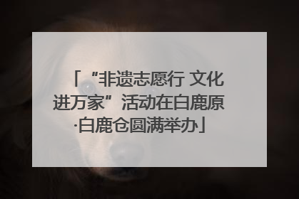 “非遗志愿行 文化进万家”活动在白鹿原·白鹿仓圆满举办