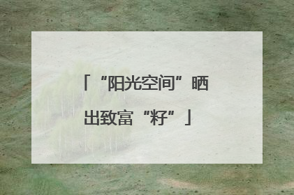 “阳光空间”晒出致富“籽”