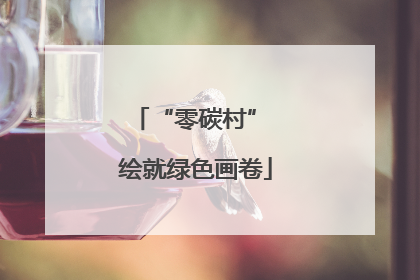 “零碳村” 绘就绿色画卷