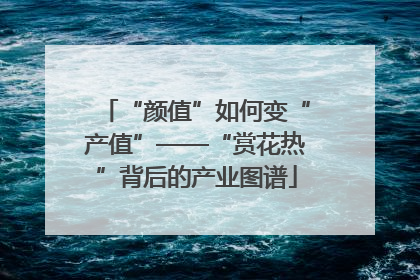 “颜值”如何变“产值”——“赏花热”背后的产业图谱