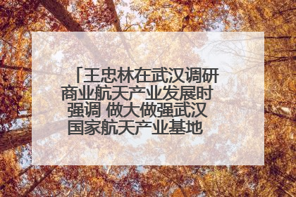王忠林在武汉调研商业航天产业发展时强调 做大做强武汉国家航天产业基地 打造具有全国影响力的“中国星谷”