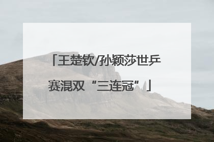 王楚钦/孙颖莎世乒赛混双“三连冠”